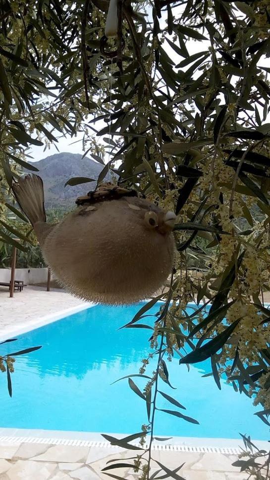 La Petite Planete Hotell Mykines Exteriör bild
